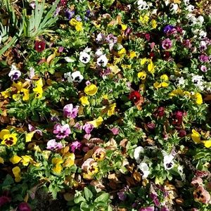 Meet your Posher, Arezoo